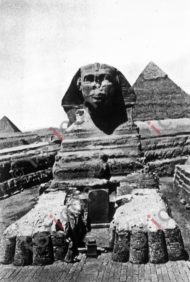 Der ausgegrabene Sphinx | The excavated sphinx - Foto foticon-simon-008-023-sw.jpg | foticon.de - Bilddatenbank für Motive aus Geschichte und Kultur
